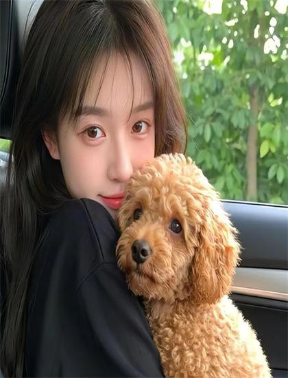 那天下午适合什么人观看？目标观众群体分析